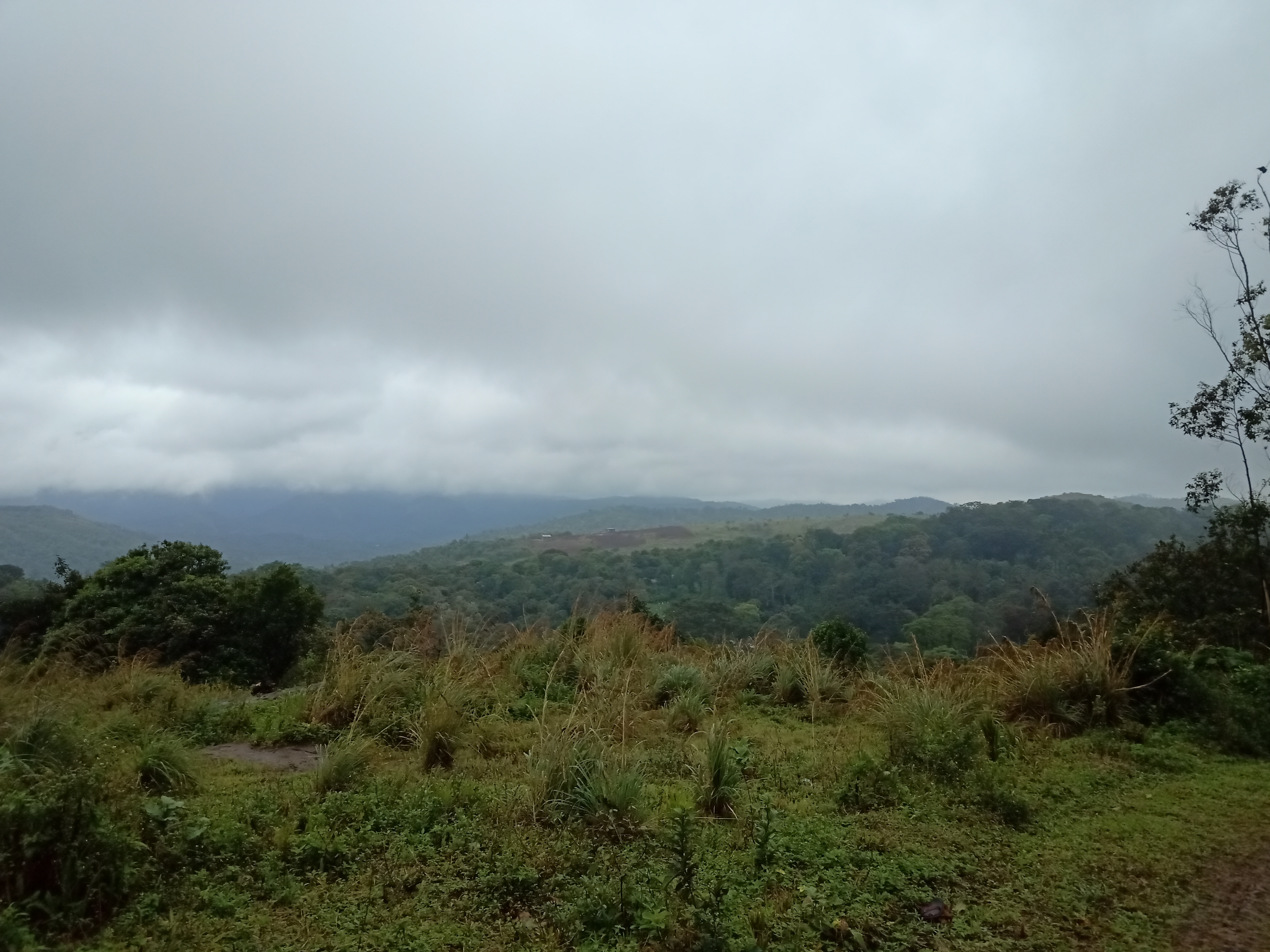 Tropical forests, a commonly cited example of a climate community.