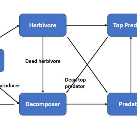 Y-shaped Energy Flow Model