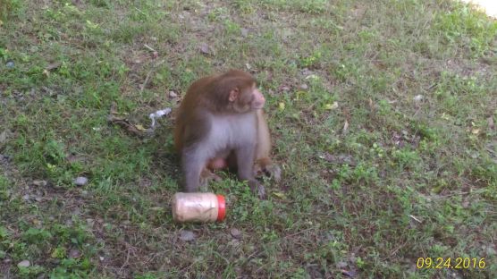 p_20160924_090834_1_p