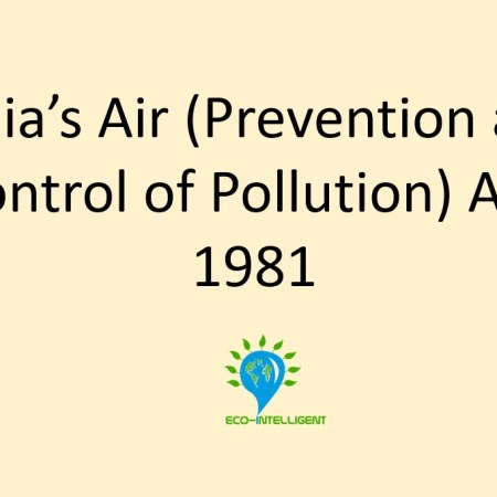 air act 1981