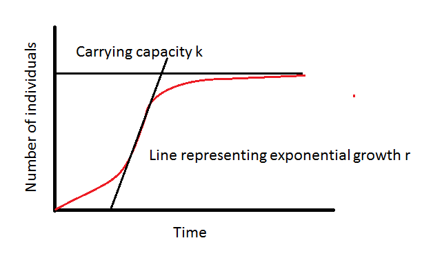 Population growth curve in an ecosystem, with exponential growth r and carrying capacity k