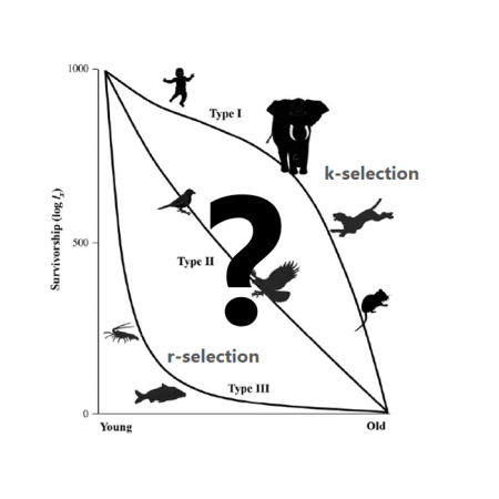 r_k selection questioned