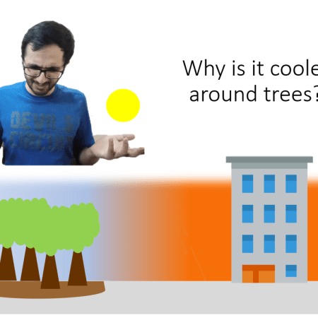 why is it cooler around trees?