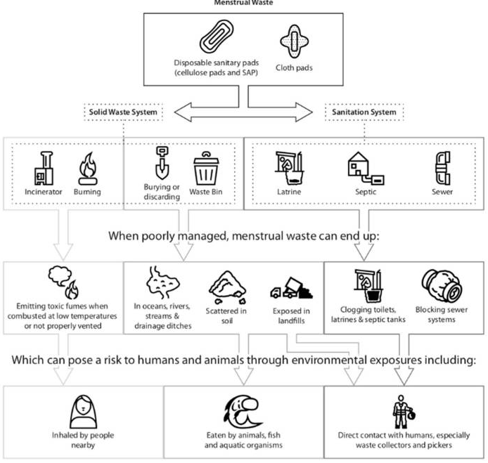 Potential environmental and health risks from improper sanitary waste disposal